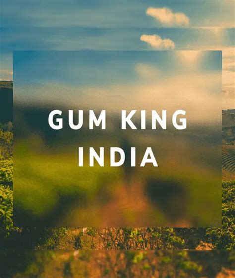 Gum King – Empowering Worlds Finest Gum, Naturally!