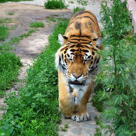 LIMPOPO ZOO (2026) All You Need to Know BEFORE You Go (with Photos ...
