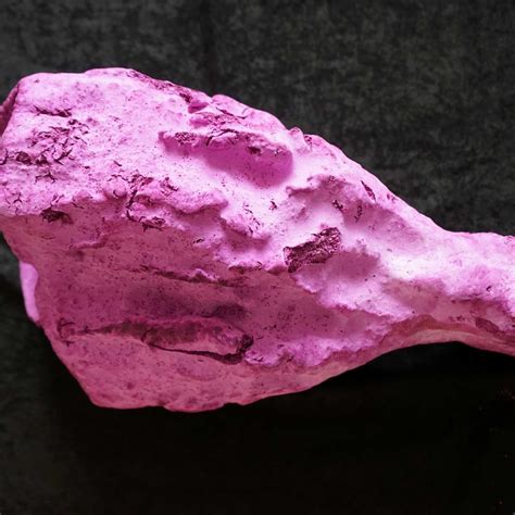 BioMess 的图像结果