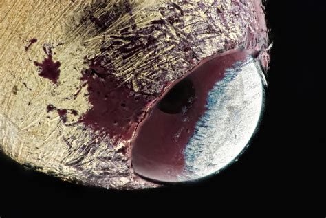 Image result for Ballpoint Pen Under Microscope