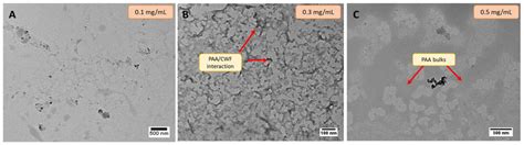 Synthesis and Characterization of Innovative Microgels Based on ...