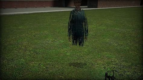 Gmod Hacking 的图像结果