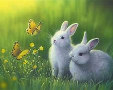 Image result for Snow White Bunnies