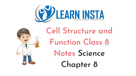 Image result for Class 8 Science Cell Structure and Function
