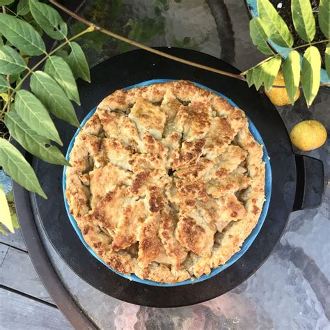 Vodka Pie Dough | Recipe | Food network recipes, Pie dough, Homemade pie