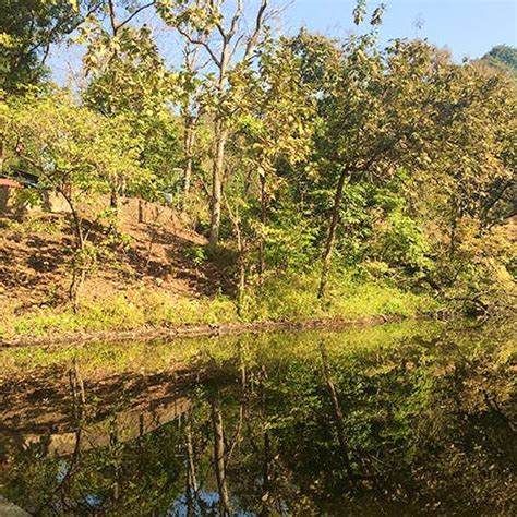 Karnala Bird Sanctuary | LBB