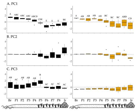 Diversity Patterns and Community Structure of the Ground-Associated ...