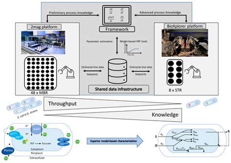 Bioengineering | Special Issue : Design, Optimization and Scale-Up of ...