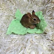 Image result for Cute Baby Bunny Toys