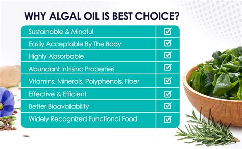 SWISSLIFE FOREVER Plant Based Vegan Omega 3 6 9 with Algal DHA (90 Veg ...