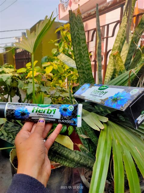 Dabur Herb'l Blackseed Complete Care Toothpaste - 300g (150g x 2, Pack ...