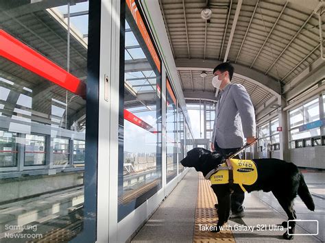 [Capture the World With Galaxy S21] Celebrating Our Essential Furry ...