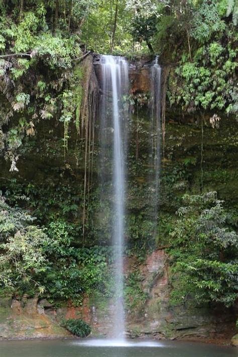 Miri Tourism: All You Need to Know Before You Go (2026)
