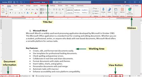 Application Software Microsoft Word 的图像结果