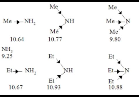 What is the order of basicity of the following compounds? ) ch3n h2 ...