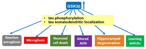 GSK-3 and Tau: A Key Duet in Alzheimer’s Disease