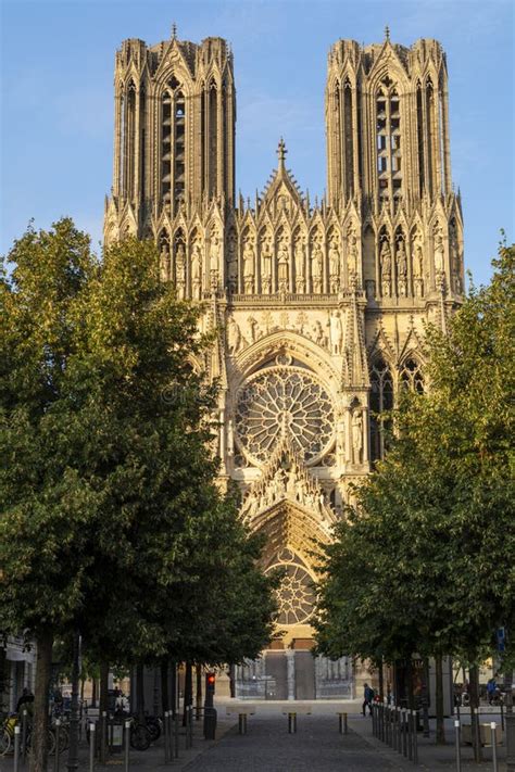 Image result for Catholic Douay-Rheims Gothic