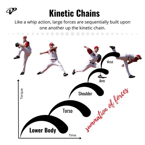 The Kinetic Chain in Overhead Sports: A Linked System