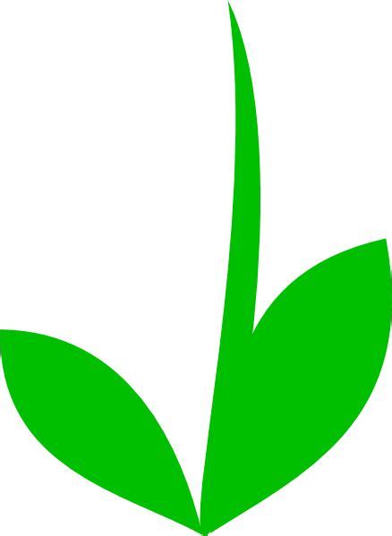 flower without stem drawing