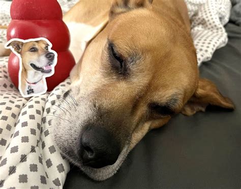 Image result for Sticker Mule Custom Stickers