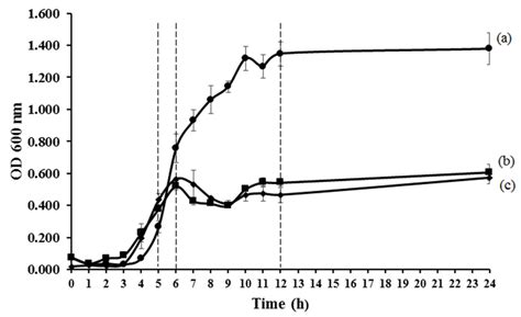 Bioactivity of Mupirocin Nanoparticle-Loaded Hydrogel against ...