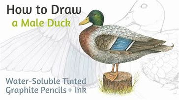 tutorial pencil drawing unicorn