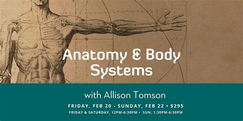Anatomy & Body Systems Training, 532 N Washington St, Alexandria, 20 ...