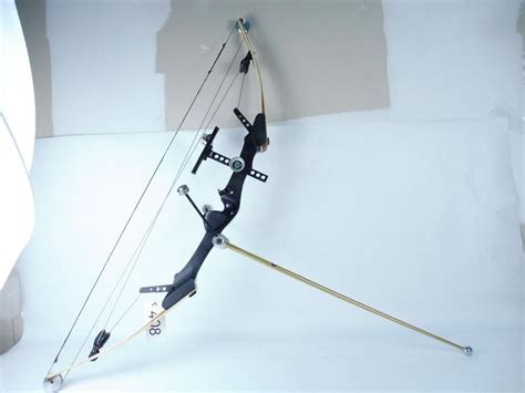 Image result for Custom Compound Bow