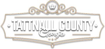 County Jail Inmates - Tattnall County, GA