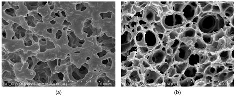 Application of Capillary Polypropylene Membranes for Microfiltration of ...