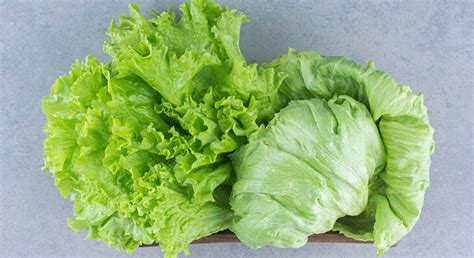Health Benefits and Nutritional Facts of Lettuce – NutritionFact.in