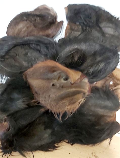 Beef ears with hair 15 to 20cm 10 pack – BDPS Wholesale