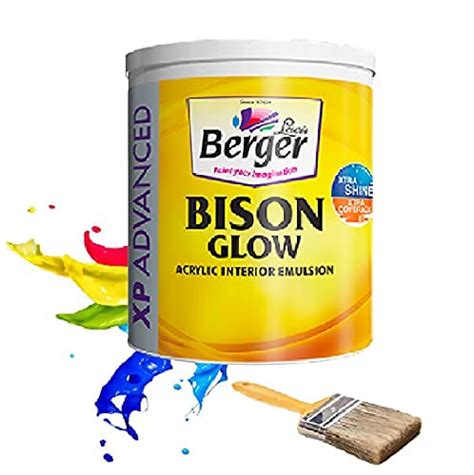 Berger Paints for Interior Wall- Living Room, Kitchen, Bedroom ...