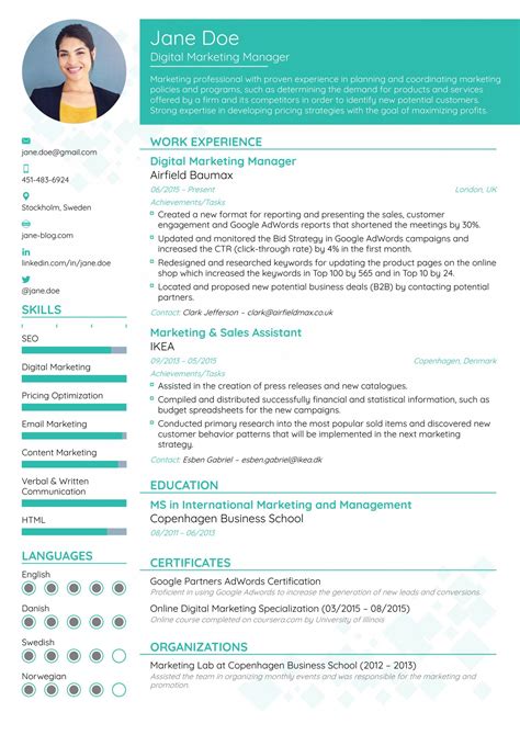 13 Finest Skilled Resume | Best resume format, Good resume examples, Marketing resume