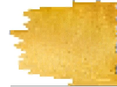 .::AP Social Empowerment Fellowship Application Form-2025