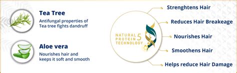 Buy Himalaya Anti-Dandruff Tea Tree Shampoo, Removes up to 100% ...