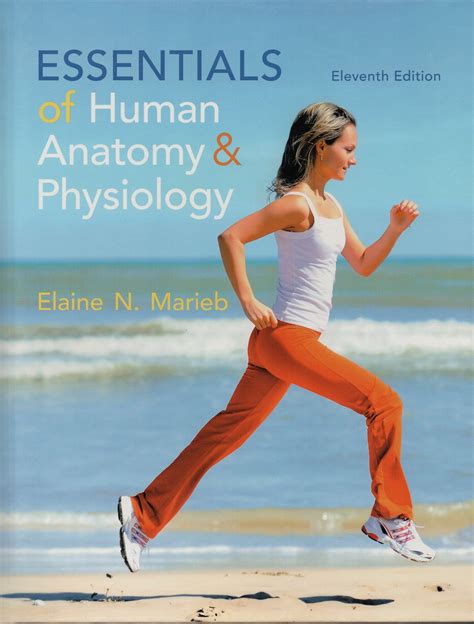Essentials Of Human Anatomy And Physiology 11th Edition Elaine Marieb ...