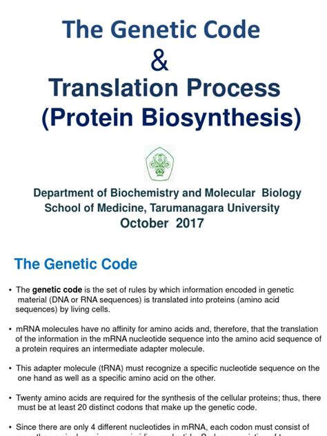 Image result for Translation Genetic Code