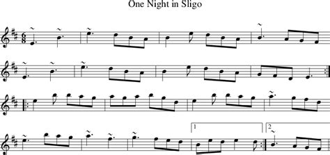 One Night in Sligo on folk tune finder