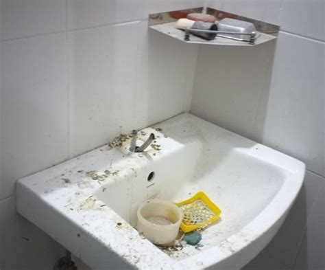 Ranchi News: फ्लैट बंद कर गए थे बेंगलुरु... गहनों व कीमती सामान के साथ ...