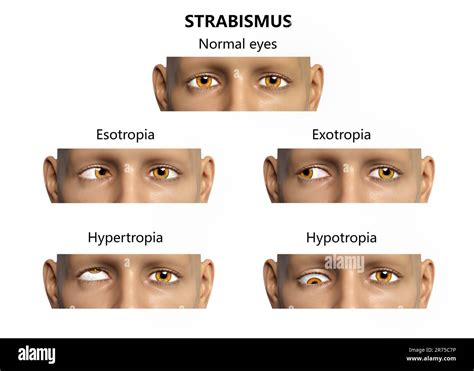 Rezultat imagine pentru Computer and Types