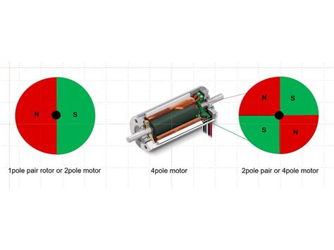 When to choose a 4pole DC motor. | maxon group