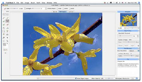 Image result for Vertus Fluid Mask Tutorial