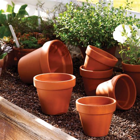 large glazed terracotta garden pots