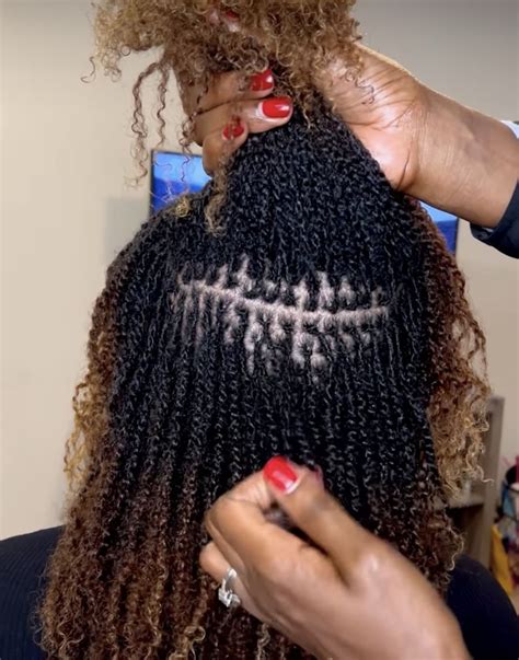 Twists With Braiding Hair