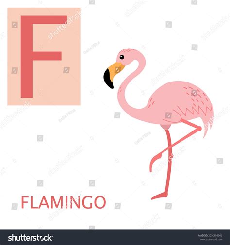 Serie de alfabetos animales. Letra F.: vector de stock (libre de ...