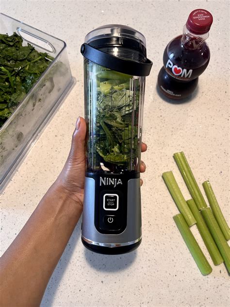 Smoothie Blender Ninja