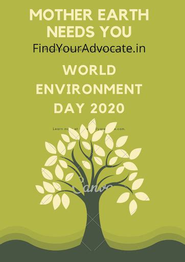 World Environment Day 2022 Theme | Find Your Advocate
