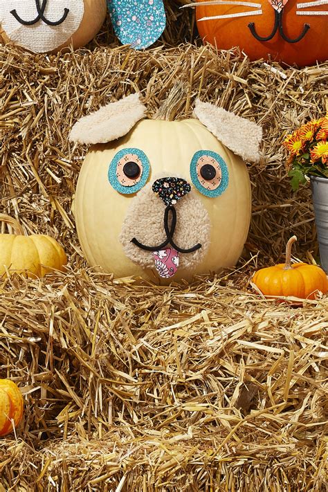 Creative unique pumpkin decorating ideas for Halloween and fall décor