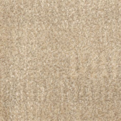 STAINMASTER (Sample) PetProtect Pilot Point Moonlight Bay Pattern ...